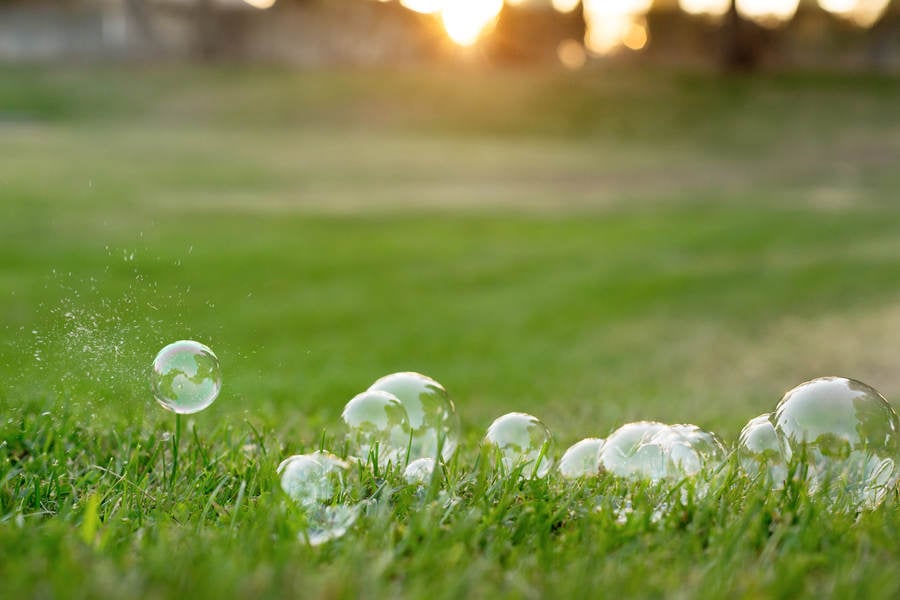 Close-Up View of Soap Bubbles in Grass during Sunset