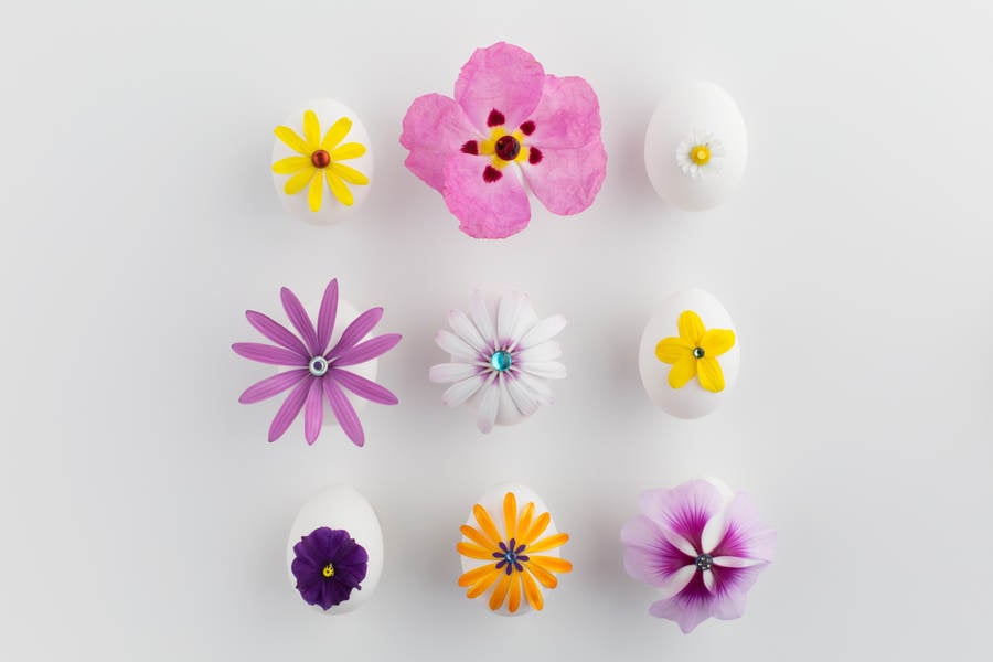 Easter Eggs with Flower Petals Arranged on a White Background