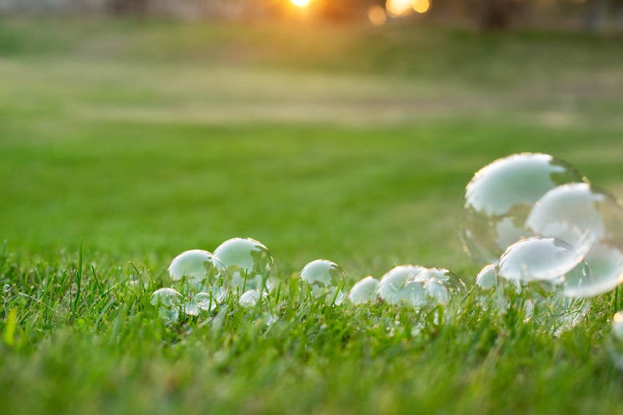 Close-Up of Soap Bubbles in Grass during Sunset