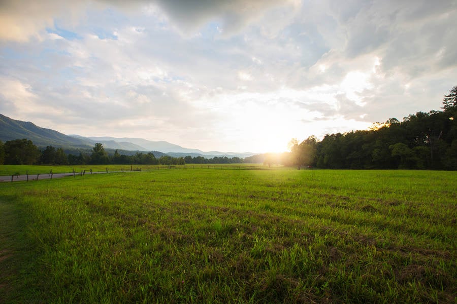Wide Angle View of a Countryside Sunset with a Grass Field in the Foreground