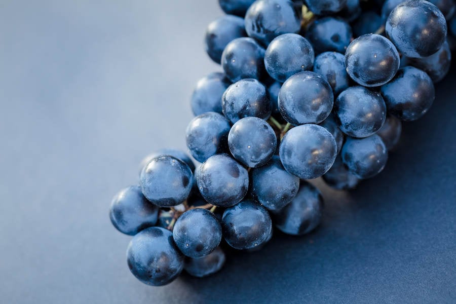 Ripe Fresh Grapes on a Vine on Blue Background