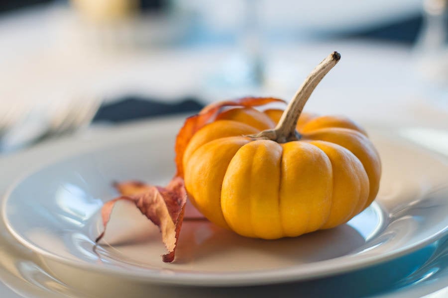 Small Pumpkin with Tree Leaves on a White Plate