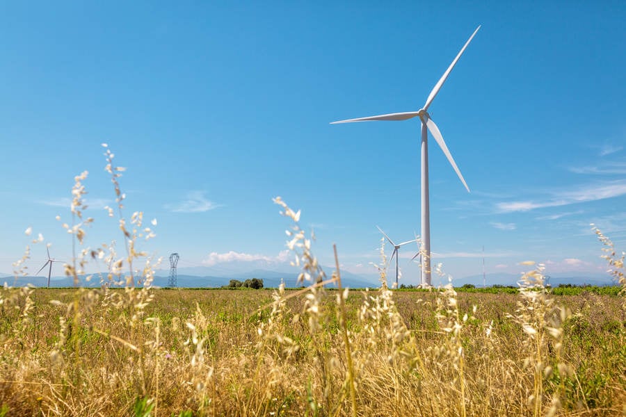 Wind Turbines in a Field with a Dry Out-Of-Focus Grass in the Foreground