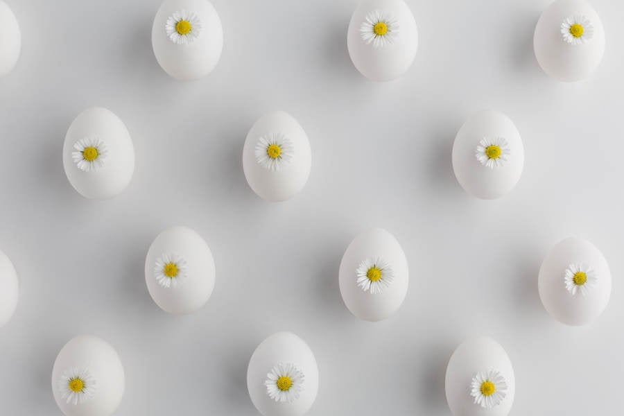 Easter Eggs Decorated with Daisies on a White Background