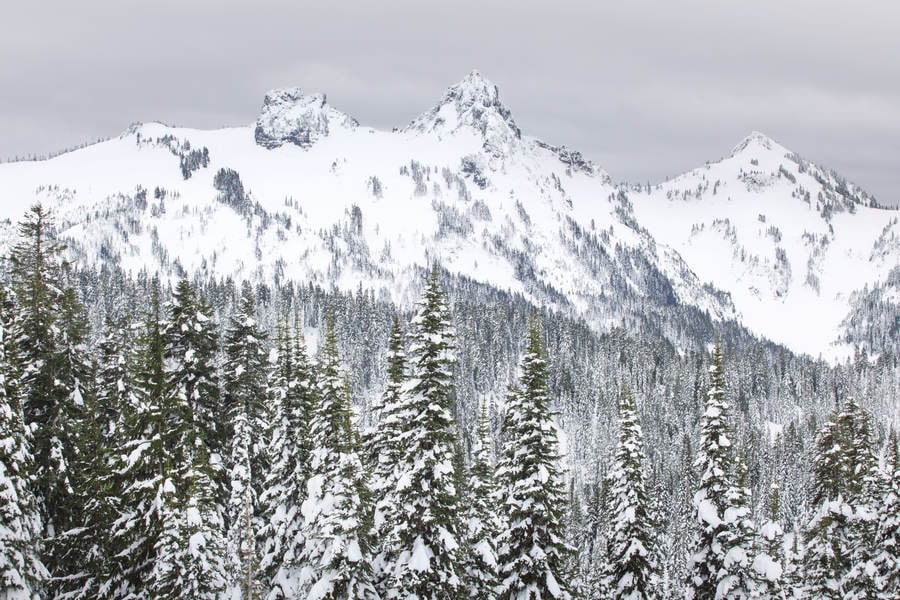 Winter Landscape with Snow-Covered Mountain Peaks and Evergreens