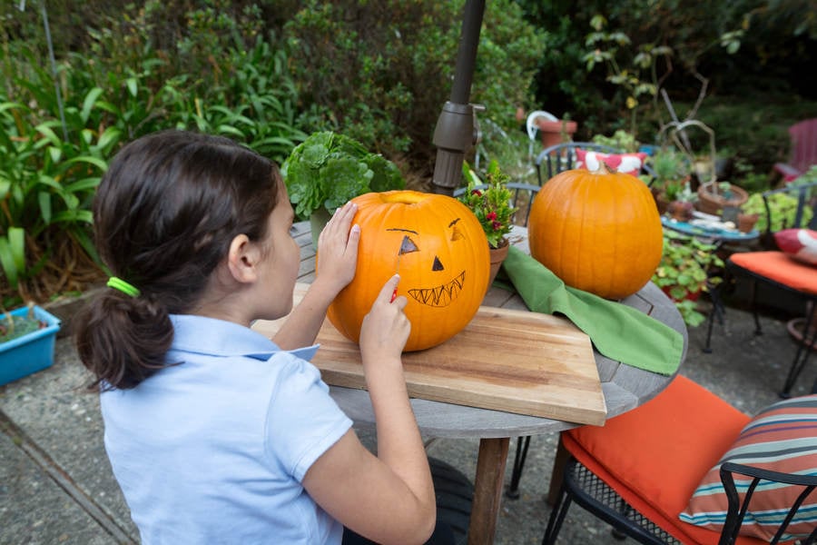 Young Girl Carving a Pumpkin During Halloween
