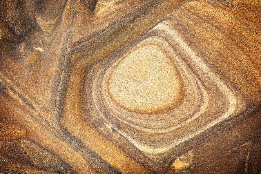 Detailed View of a Natural Pattern on a Rock