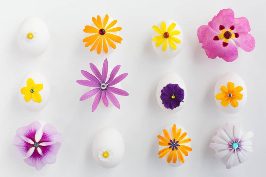 Easter Eggs Decorated with Flower Petals on a White Background