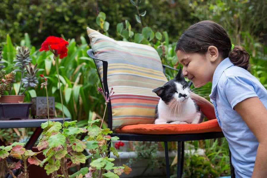 Smiling Young Girl with a Domestic Cat Outdoors