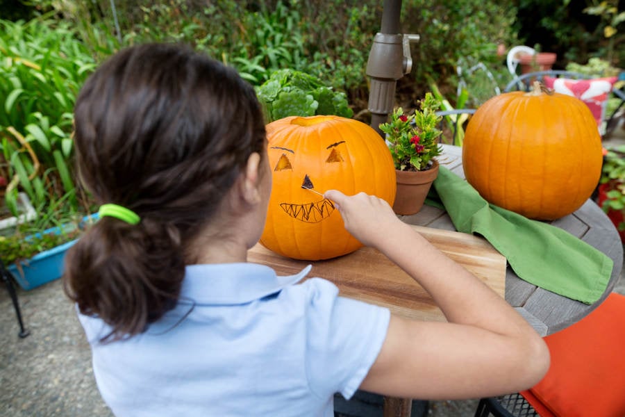 Over-the-Shoulder View of a Young Girl Carving a Pumpkin
