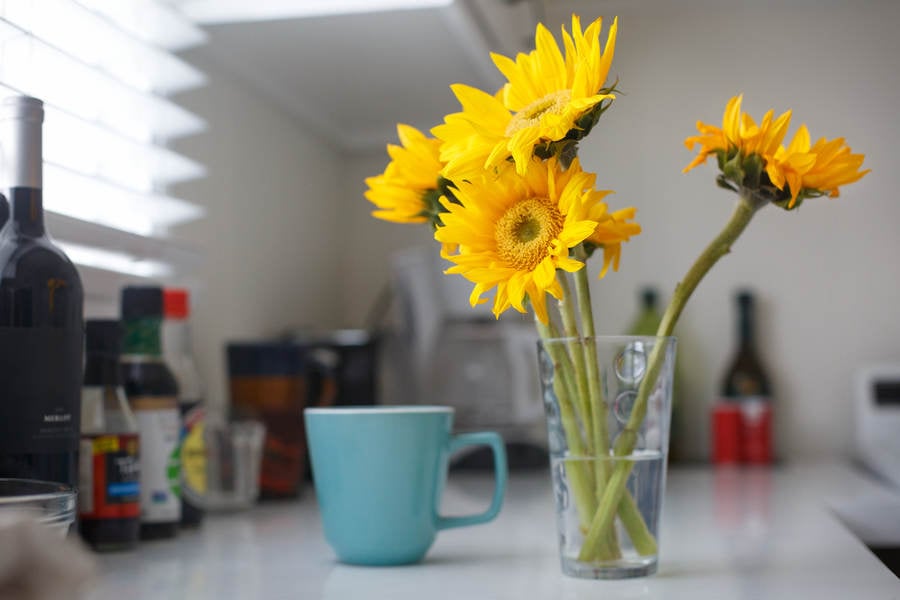 Sunflowers in a Vase on a Kitchen Counter