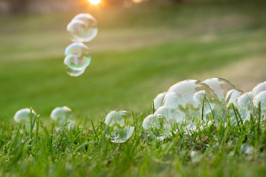 Soap Bubbles Landing on a Lawn during Sunset