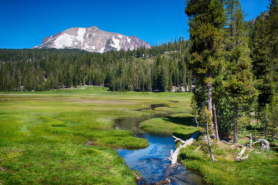 Creek Running Through Alpine Meadow and a Mountain in Background