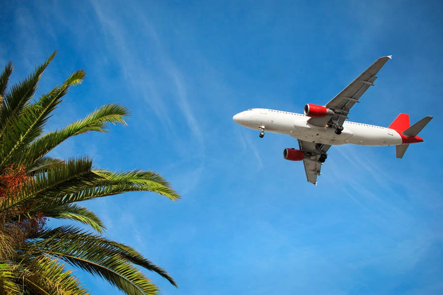 Commercial Airplane in Flight Above Palm Trees