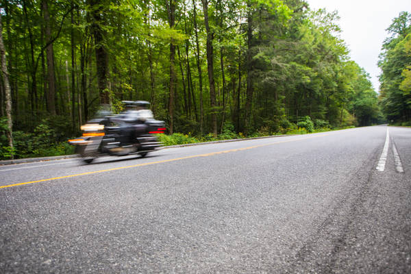 Couple on a Motorcycle Driving Through Forest