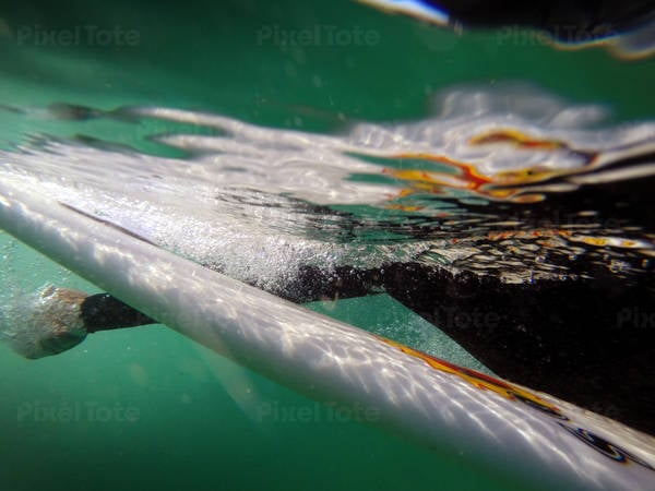 Underwater View of a Surfer Paddling on a Shortboard