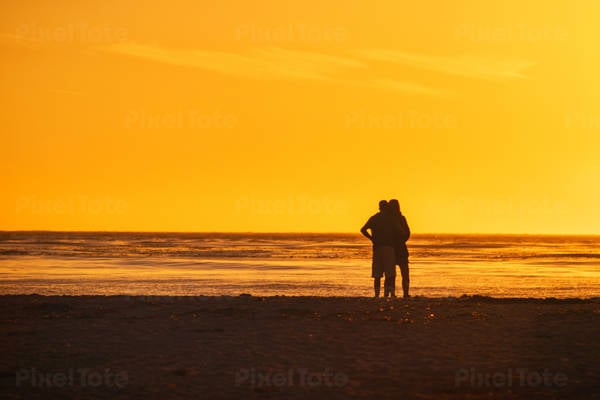 Silhouette of a Couple Standing on the Beach During Sunset