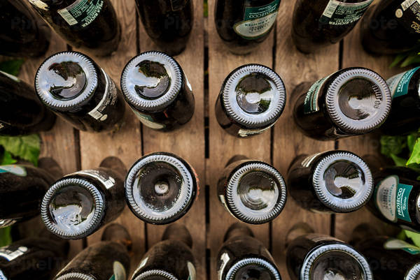 Close-Up of Wine Bottles in a Wooden Rack
