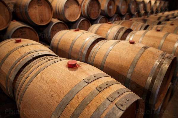 View of Wine Barrels in Cellar