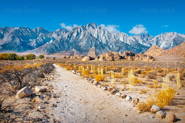 Desert Hiking Trail with Mount Whitney in the Background