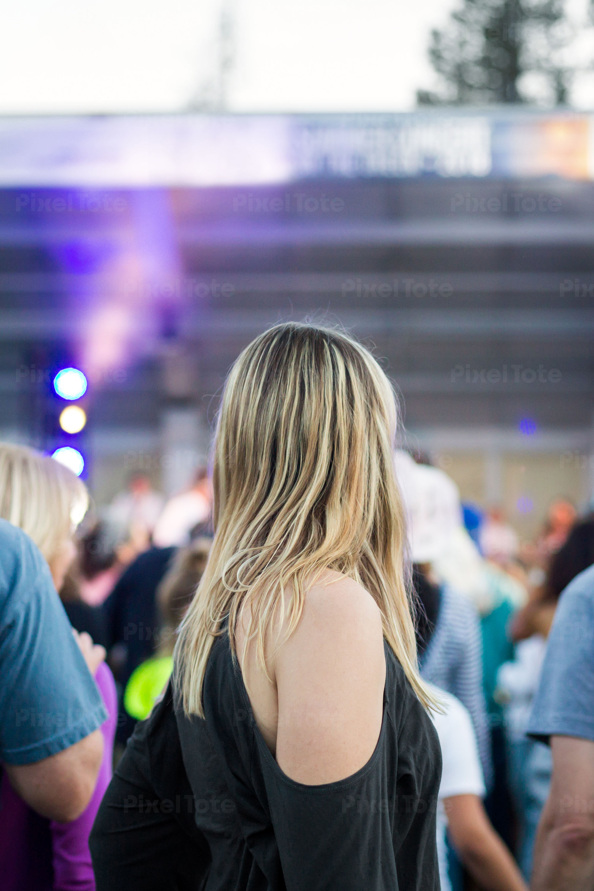 Rear View Of A Woman Dancing At A Music Festival Stock Photo Pixeltote