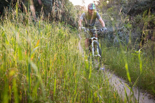 Mountain Biker Riding on a Singletrack Trail Through Tall Grass