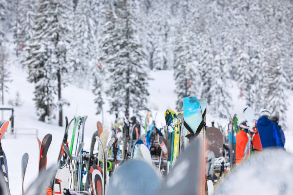 View of Skis and Snowboards Arranged in a Rack Against Snow Covered Trees