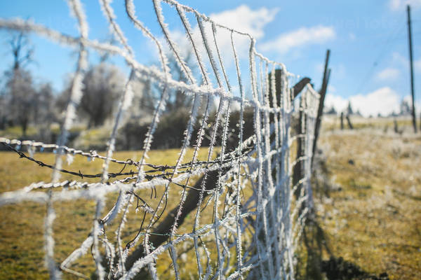Morning Frost on a Metal Fence with a View of Winter Landscape in the Background