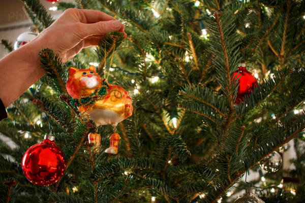 Woman Hanging Ornament on a Christmas Tree