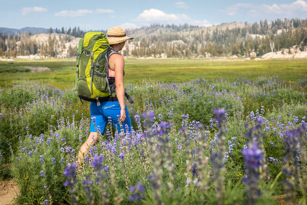 Young Woman with a Backpack Hiking Through an Alpine Meadow