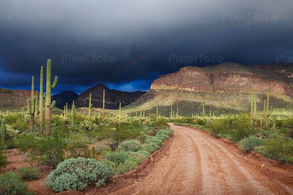 Desert with Cacti a Dirt Road and Dark Clouds Above Mountains