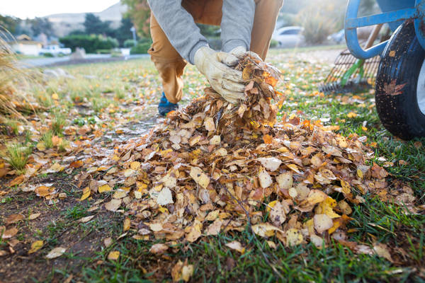 Man Working on a Front Yard During Fall