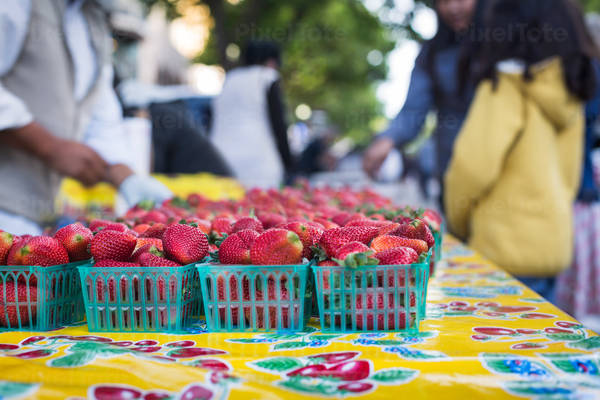 Fresh Ripe Strawberries in Small Baskets at a Farmers Market