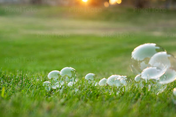 Close-Up of Soap Bubbles in Grass during Sunset