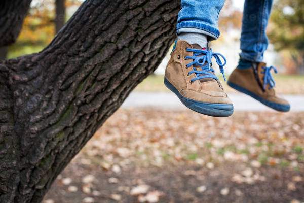 Close-Up of Feet of a Boy Sitting on a Tree Branch