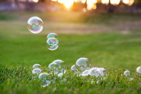 Soap Bubbles Landing in the Grass during Sunset