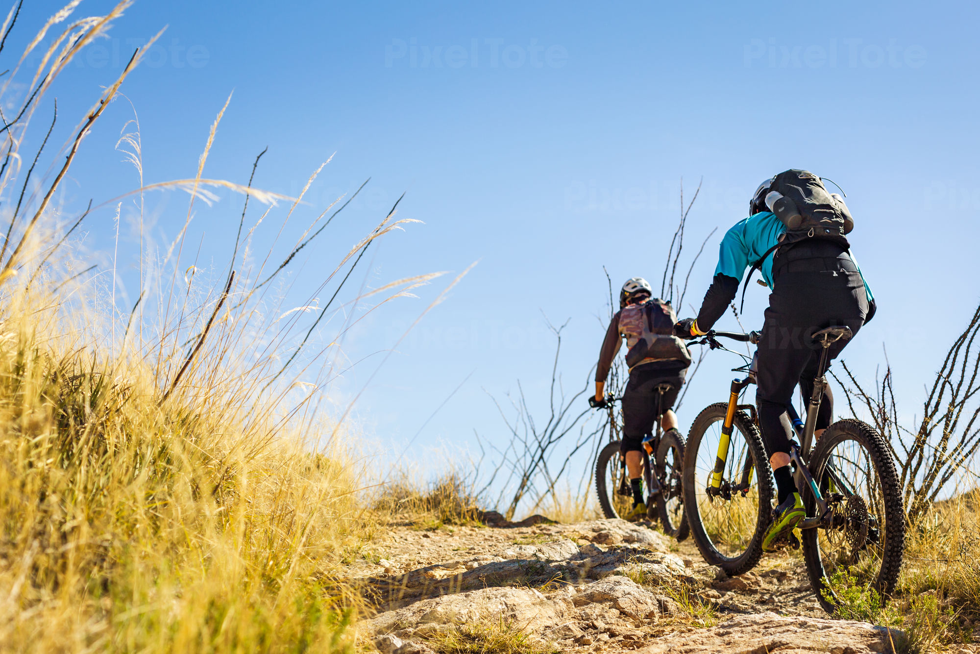 Two Mountain Bikers on a Trail Stock Photo - PixelTote