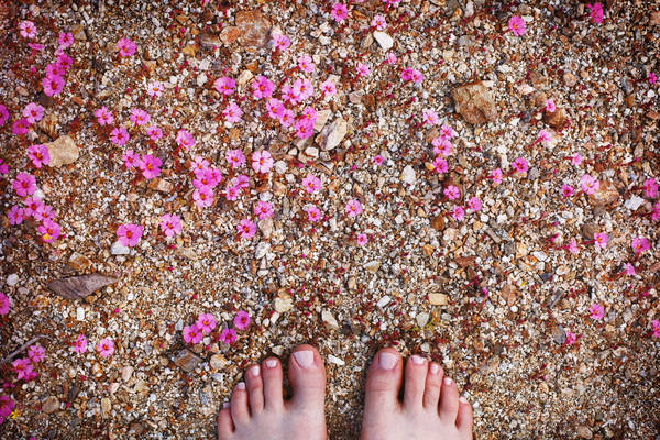 Woman's Feet and Flowers During Super Bloom in a Desert in California