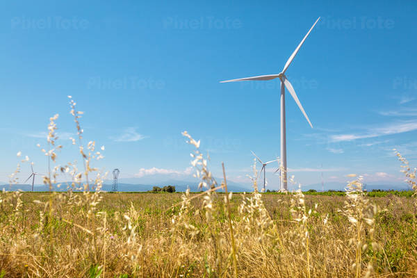Wind Turbines in a Field with a Dry Out-Of-Focus Grass in the Foreground