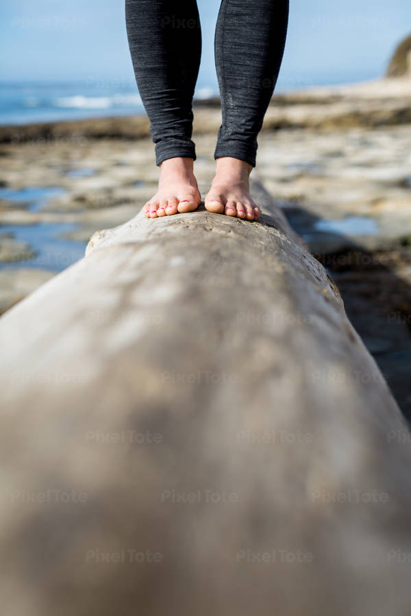 Low Section of a Woman Standing on a Tree Log on a Beach