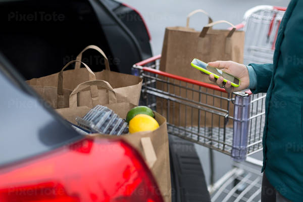 Woman Holding a Cell Phone and Standing by a Car and a Shopping Cart