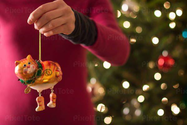 Woman Holding Christmas Ornament in Front of a Christmas Tree