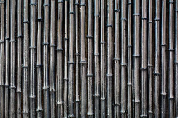 Full Frame Shot of a Bamboo Fence Painted Black