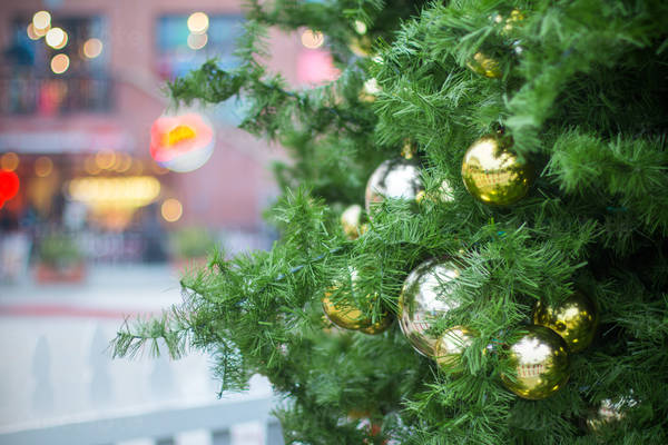Close-Up View of a Decorated Christmas Tree on the Street
