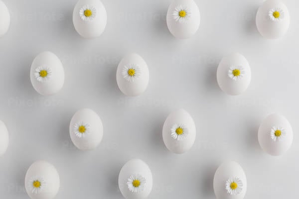 Easter Eggs Decorated with Daisies on a White Background