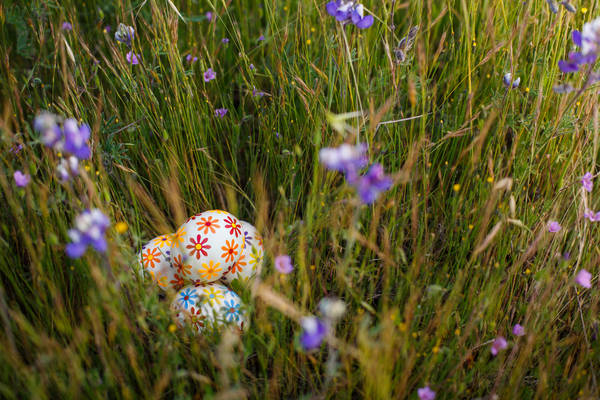 Grass with Easter Eggs Decorated with Flower Petal Stickers