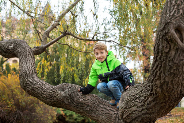 Smiling Preschool Boy in Winter Clothing Climbing in a Tree