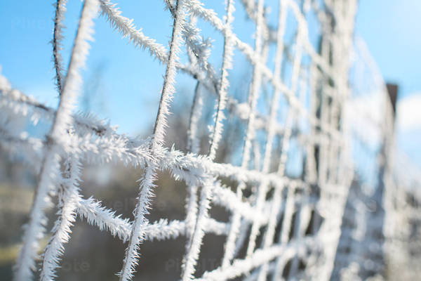 Detailed View of a Frost on a Metal Fence in the Winter