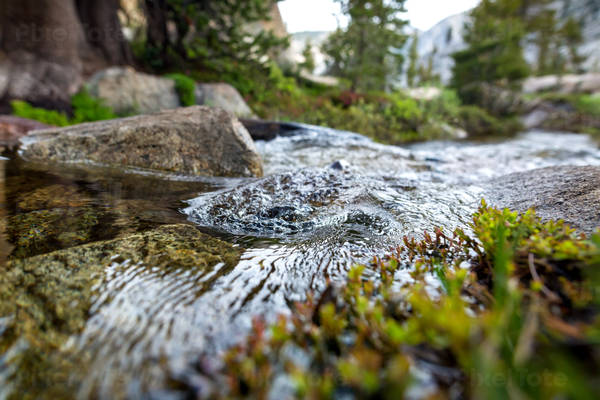 Close-Up of a Creek Running Through a Sparse Forest Terrain
