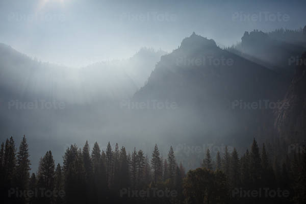 Landscape with a Forest and a Morning Mist